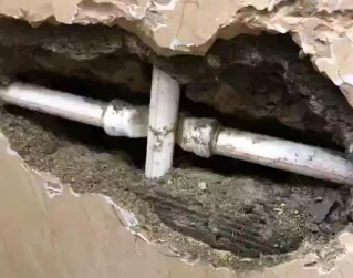 五莲测漏水哪家好