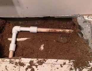 五莲测漏水哪家好