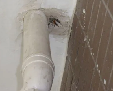 五莲漏水检测哪家好